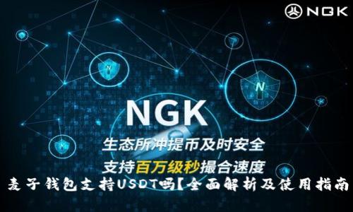 麦子钱包支持USDT吗?全面解析及使用指南