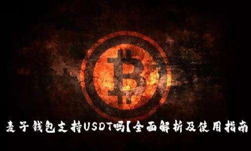 麦子钱包支持USDT吗?全面解析及使用指南