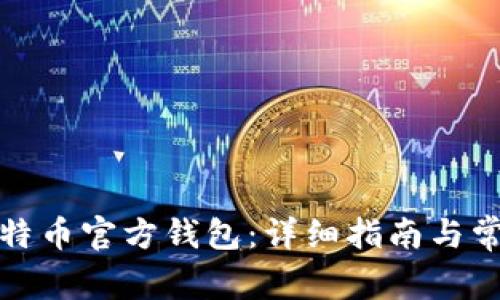 如何创建比特币官方钱包:详细指南与常见问题解答