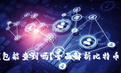 比特币个人钱包能查到吗?全面解析比特币隐私与安全性