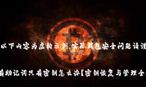 请注意:以下内容为虚构示例,实际钱包安全问题请谨慎处理。
钱包没有助记词只有密钥怎么办?密钥恢复与管理全攻略