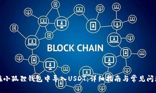 如何在小狐狸钱包中导入USDT:详细指南与常见问题解答
