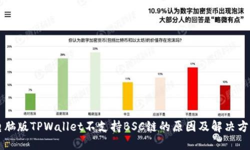 电脑版TPWallet不支持BSC链的原因及解决方案