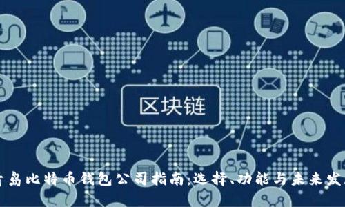 青岛比特币钱包公司指南:选择、功能与未来发展