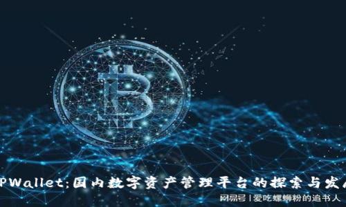 TPWallet:国内数字资产管理平台的探索与发展