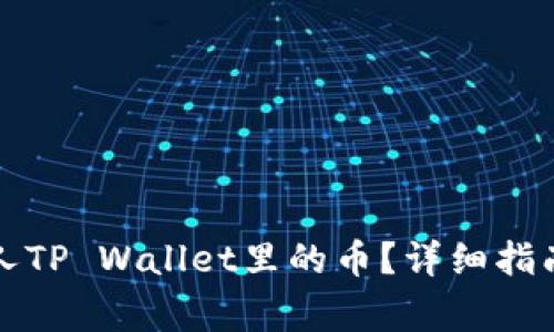 如何查看别人TP Wallet里的币?详细指南与注意事项