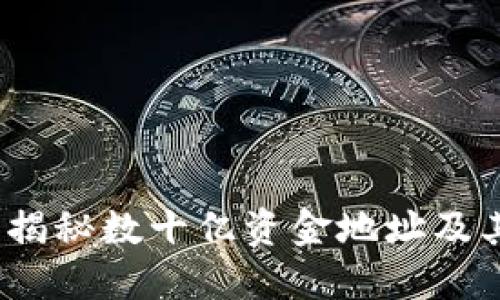 TPWallet：揭秘数十亿资金地址及其背后逻辑