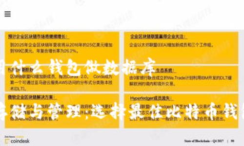 比特币用什么钱包做数据库

比特币存储与管理：选择最佳比特币钱包的方法