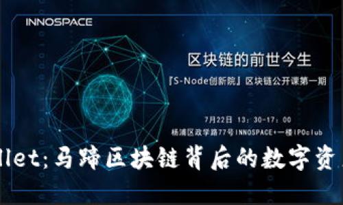 探索TPWallet：马蹄区块链背后的数字资产管理平台