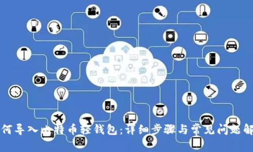 如何导入比特币轻钱包：详细步骤与常见问题解析