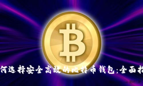 如何选择安全高效的比特币钱包：全面指南