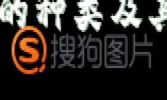 虚拟币钱包的种类及其特