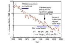 : ERC20地址的USDT钱包：选择