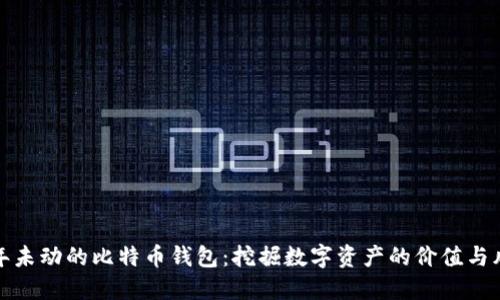 十年未动的比特币钱包：挖掘数字资产的价值与风险