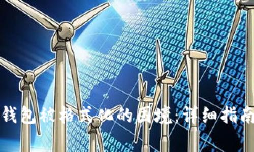 如何应对比特币钱包被格式化的困境：详细指南与常见问题解答