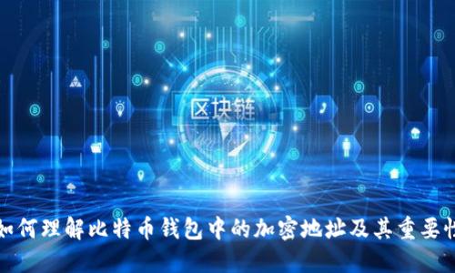 如何理解比特币钱包中的加密地址及其重要性