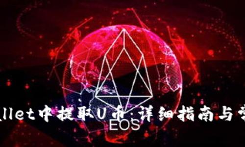如何从TPWallet中提取U币：详细指南与常见问题解答