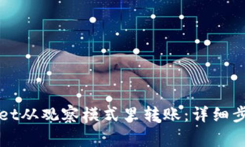 如何在TPWallet从观察模式里转账：详细步骤和注意事项