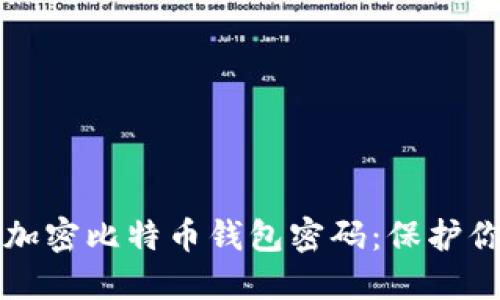如何安全地加密比特币钱包密码：保护你的数字资产