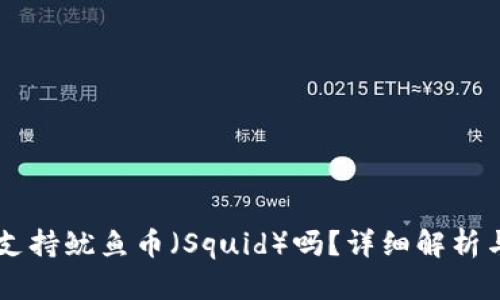 TPWallet支持鱿鱼币（Squid）吗？详细解析与使用指南