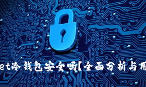 TPWallet冷钱包安全吗？全面分析与用户指南