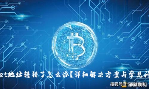 TPWallet地址转错了怎么办？详细解决方案与常见问题解答