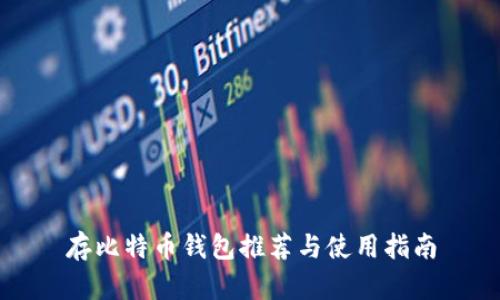 存比特币钱包推荐与使用指南