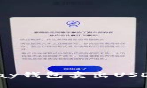 如何通过BTPay钱包卖出USDT：一步步指南