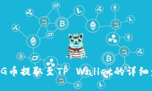 如何将BG币提取至TP Wallet的详细步骤指南