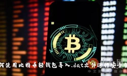 如何使用比特币轻钱包导入.dat文件进行安全管理