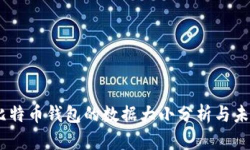 11年比特币钱包的数据大小分析与未来趋势