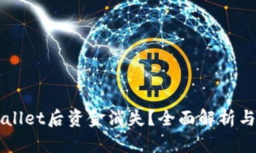 转入TPWallet后资金消失？全面解析与解决方案