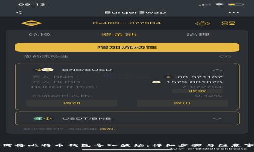 如何将比特币钱包导入波场：详细步骤与注意事项