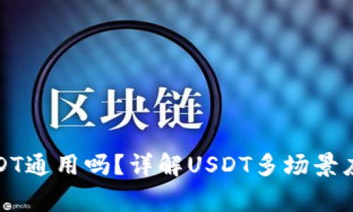 TP钱包里的USDT通用吗？详解USDT多场景应用与注意事项