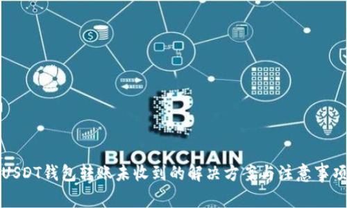 USDT钱包转账未收到的解决方案与注意事项