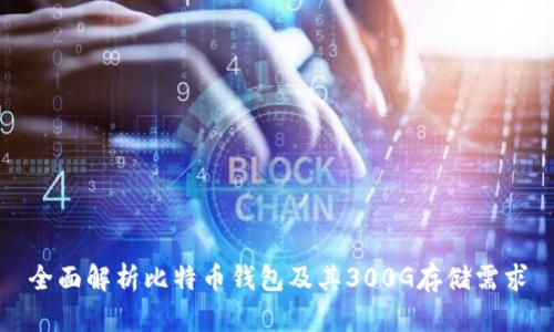 全面解析比特币钱包及其300G存储需求
