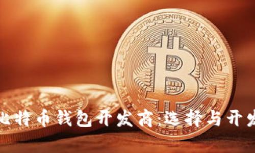 全面解析比特币钱包开发商：选择与开发的重要性
