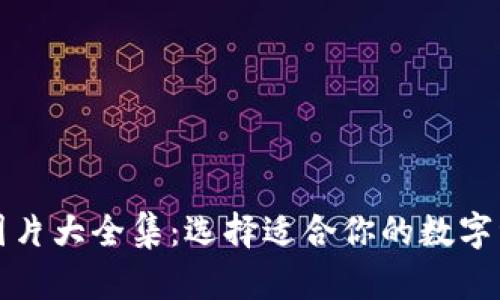 比特币钱包图片大全集：选择适合你的数字资产管理工具