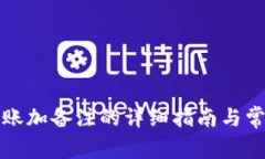 tpwallet转账加备注的详细指
