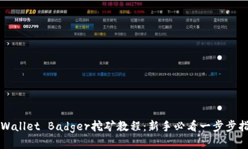 TPWallet Badger挖矿教程：新手必看一步步指南