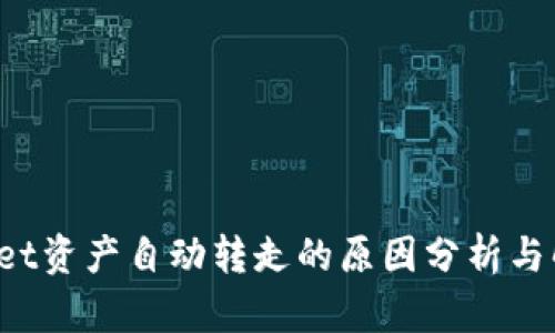 TP Wallet资产自动转走的原因分析与解决方案