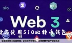 如何选择与使用S10比特币