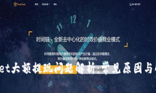  TPWallet大额提现问题解析：常见原因与解决方案